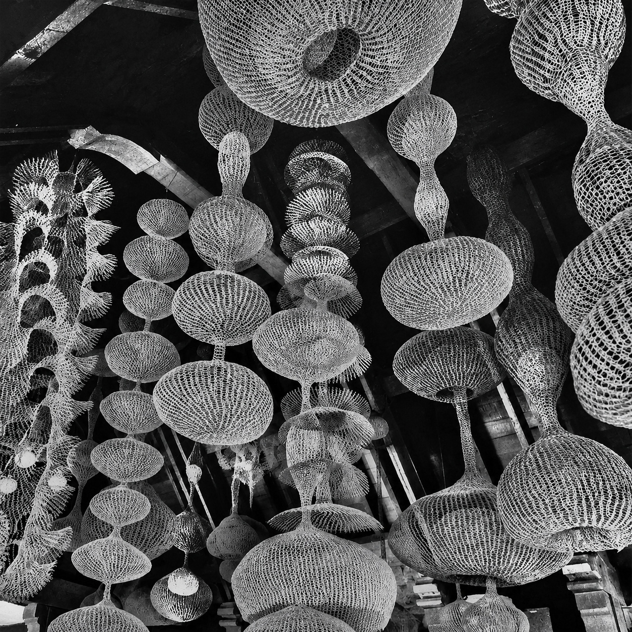 Escultura de alambre de Ruth Asawa